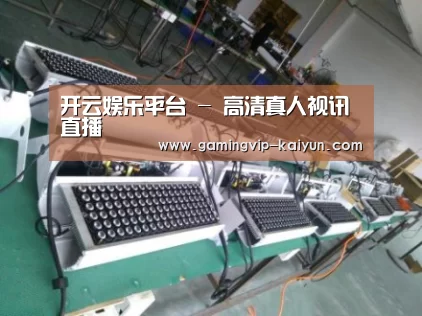 开云真人案例展示一