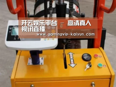 开云真人案例展示三