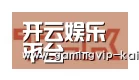 开云真人合作伙伴二