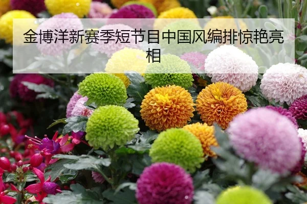 金博洋新赛季短节目中国风编排惊艳亮相
