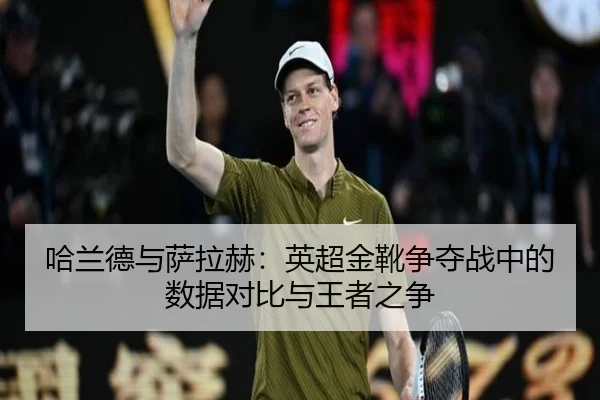 ha-lan-de-yu-sa-la-he-ying-chao-jin-xue-zheng-duo-zhan-zhong-de-shu-ju-dui-bi-yu-wang-zhe-zhi-zheng-2-515.jpg