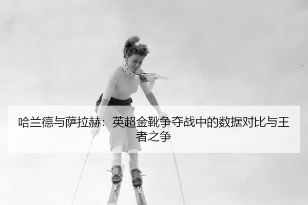 ha-lan-de-yu-sa-la-he-ying-chao-jin-xue-zheng-duo-zhan-zhong-de-shu-ju-dui-bi-yu-wang-zhe-zhi-zheng-3-957.jpg