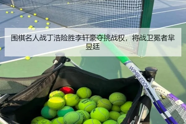 wei-qi-ming-ren-zhan-ding-hao-xian-sheng-li-xuan-hao-duo-tiao-zhan-quan-jiang-zhan-wei-mian-zhe-mi-yu-ting-3-437.jpg