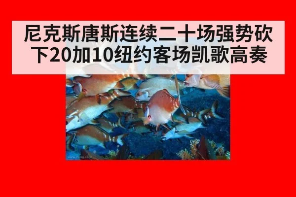 尼克斯唐斯连续二十场强势砍下20加10纽约客场凯歌高奏