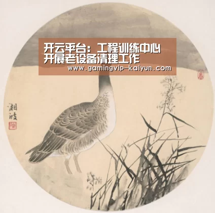 开云真人